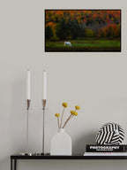 Autumn glory Poster och Canvastavla