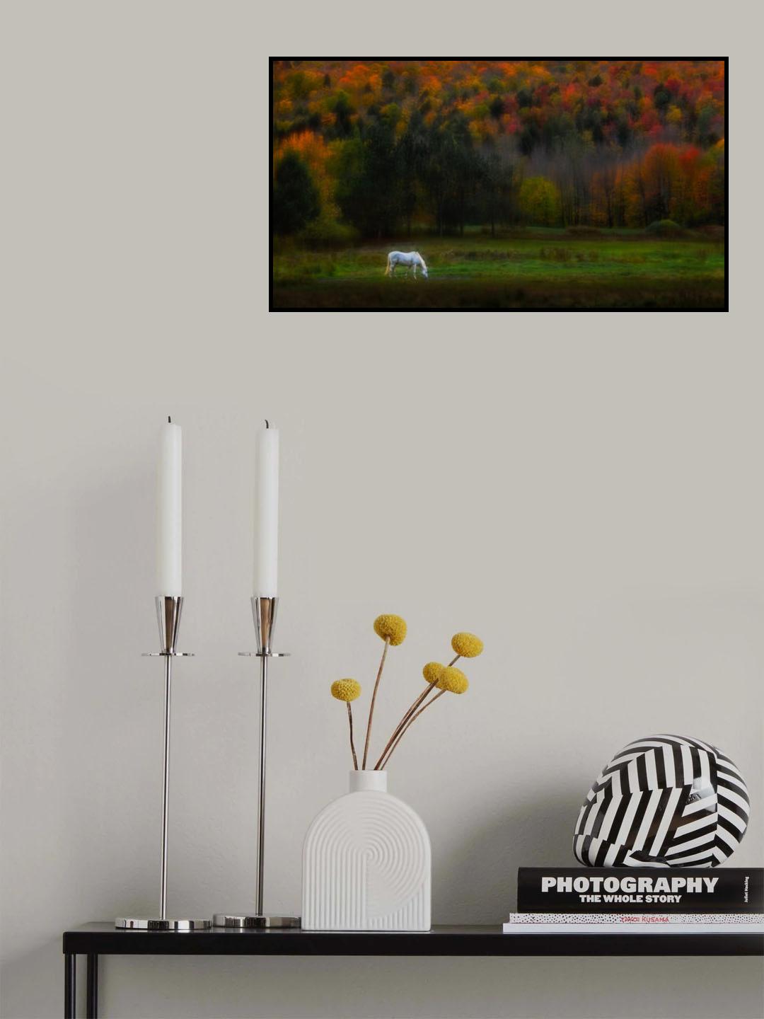 Autumn glory Poster och Canvastavla