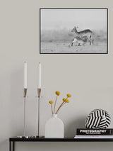 Feeding Poster och Canvastavla