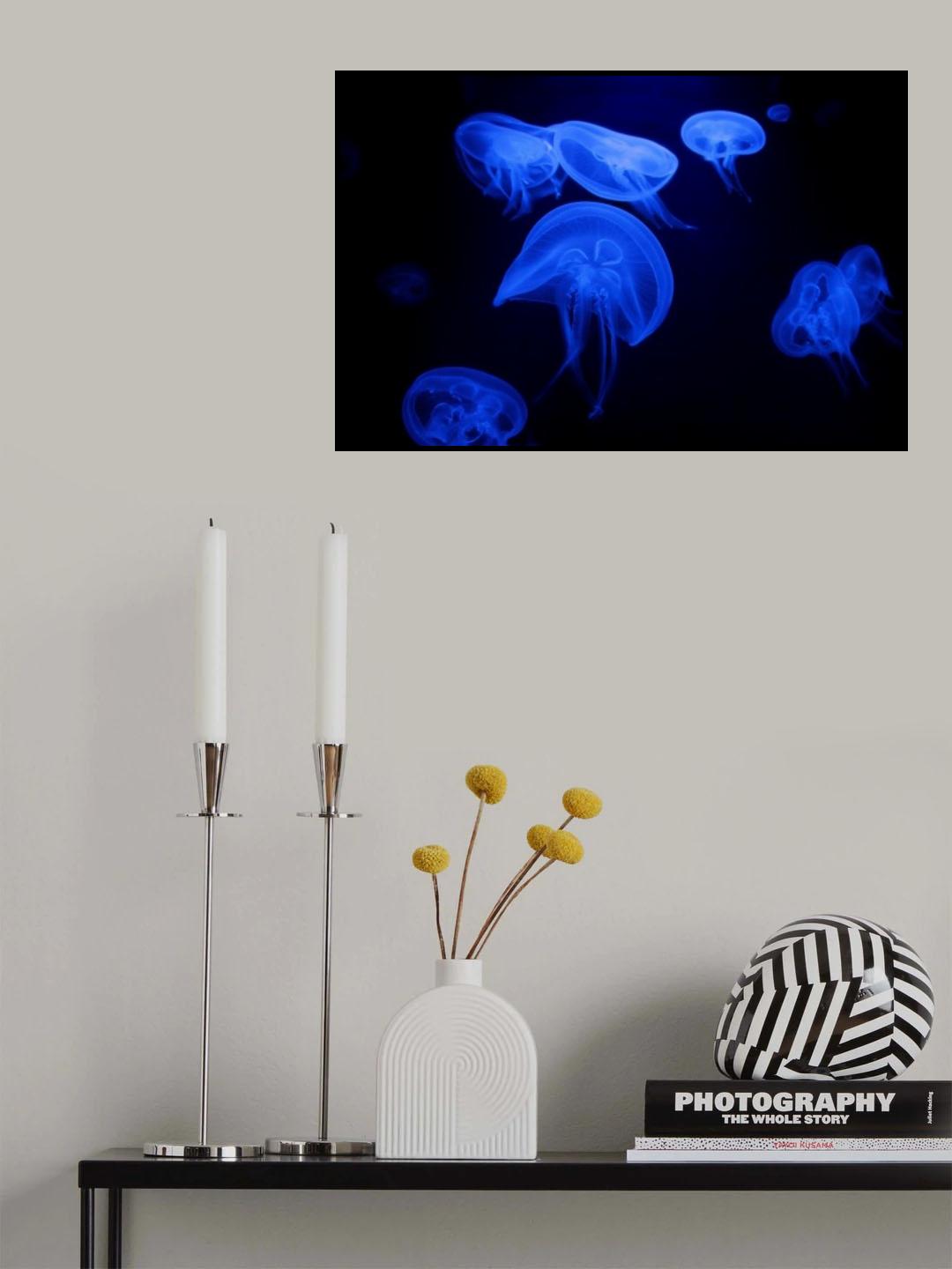 Deep Sea Ballerina Poster och Canvastavla
