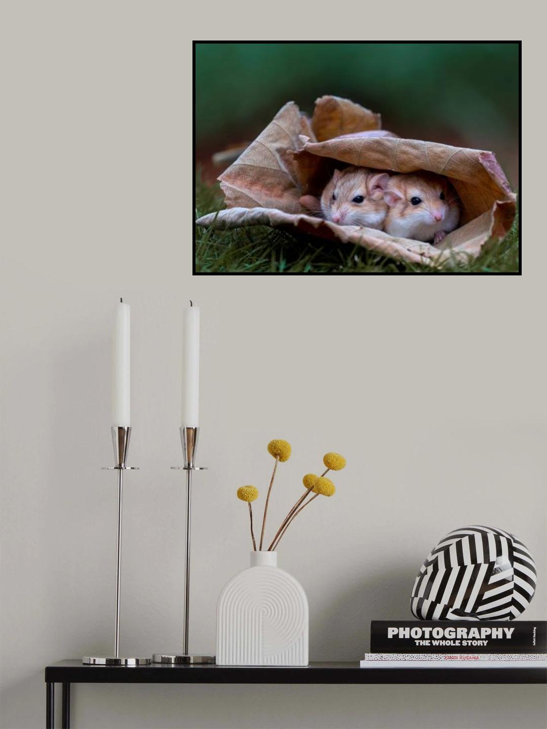Poster och Canvastavla