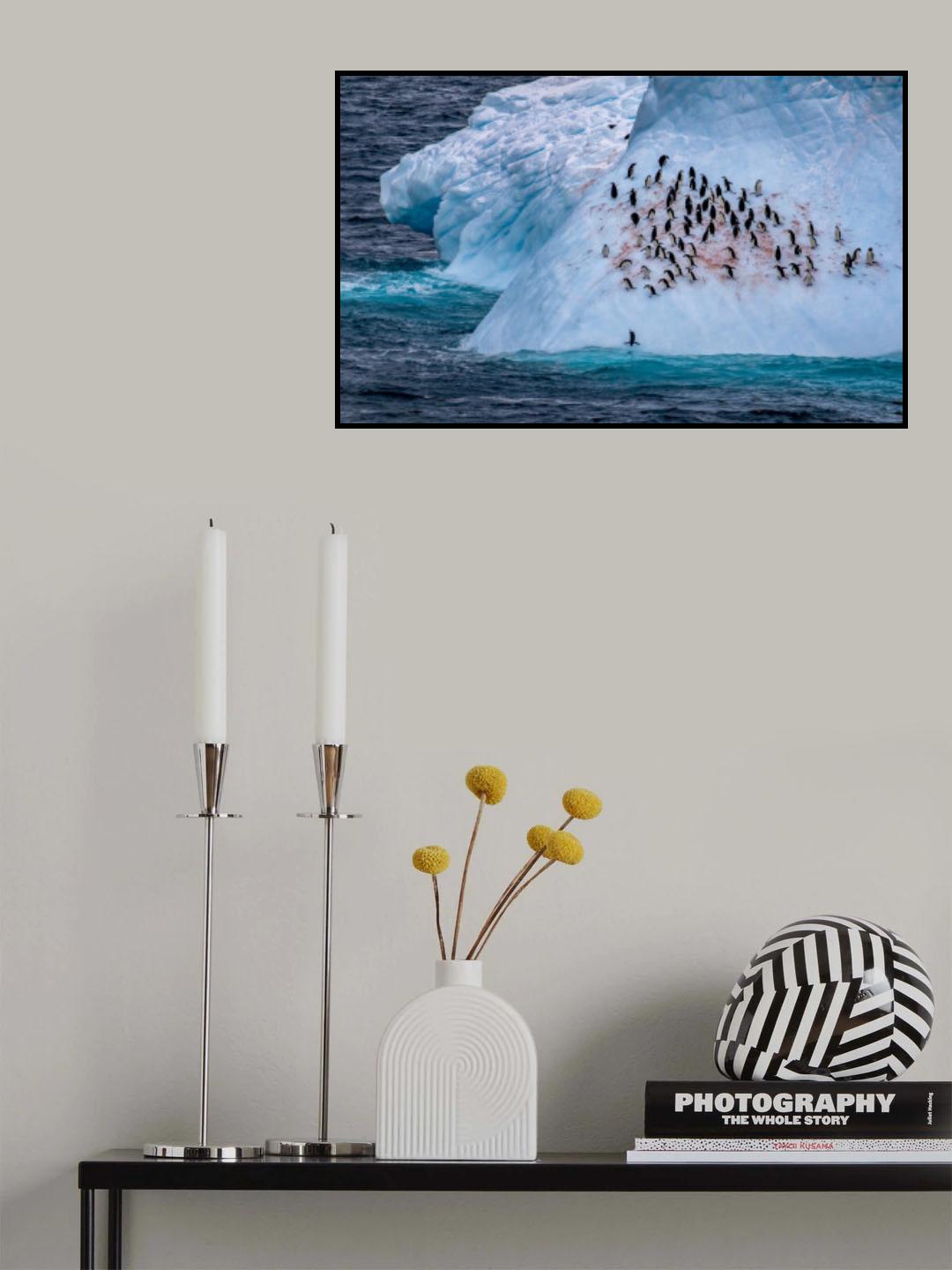 Happy Penguins on the Blue Iceberg Poster och Canvastavla