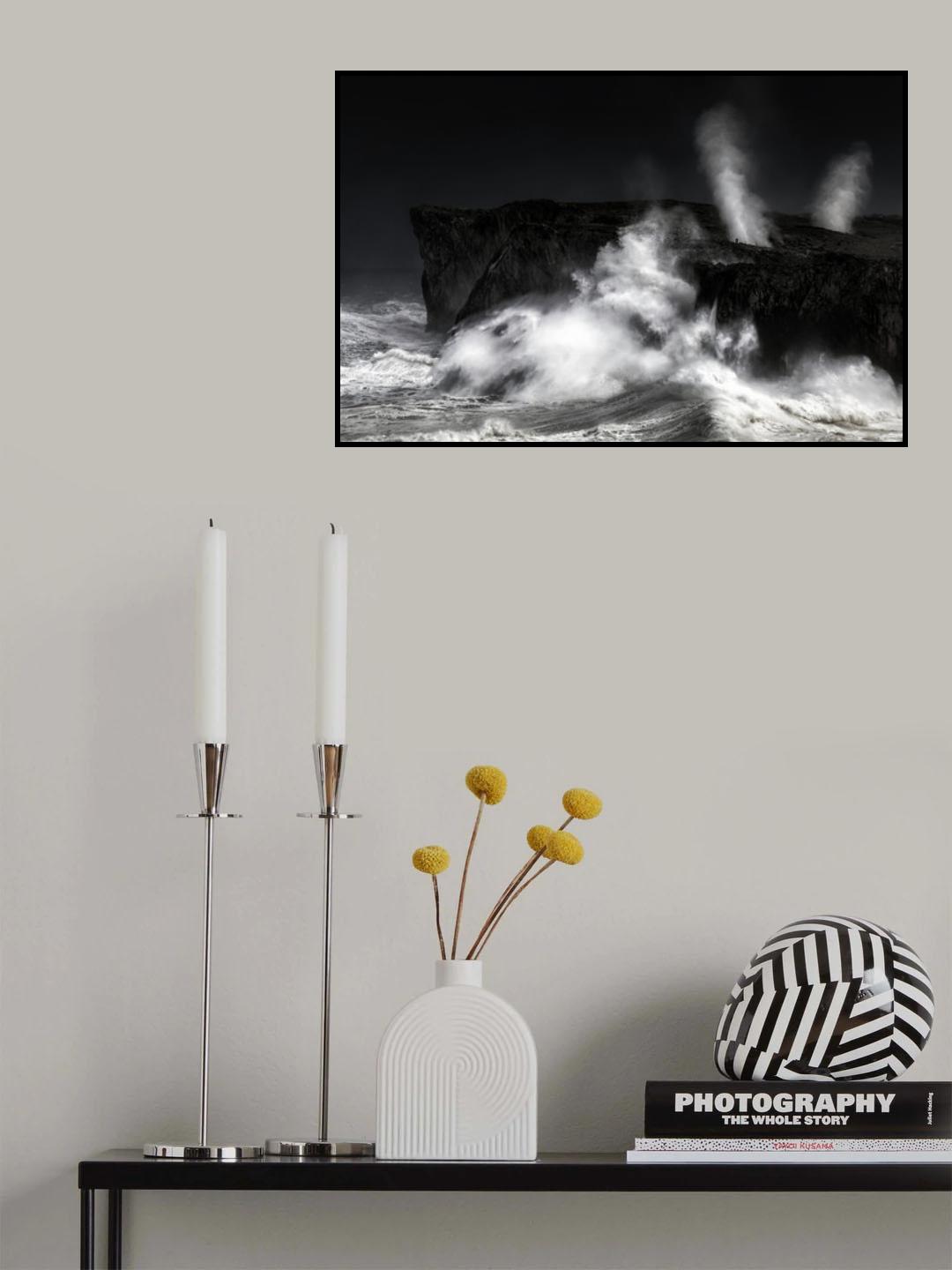 Silver fury Poster och Canvastavla