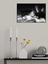 Silver fury Poster och Canvastavla