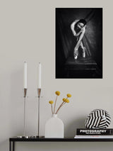 Ballerina Poster och Canvastavla