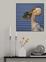 Poster och Canvastavla