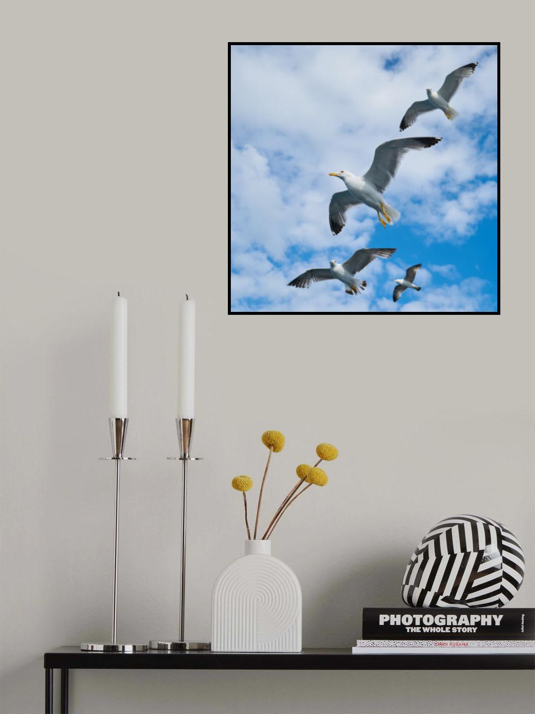 flying seagull Poster och Canvastavla