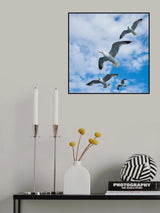flying seagull Poster och Canvastavla