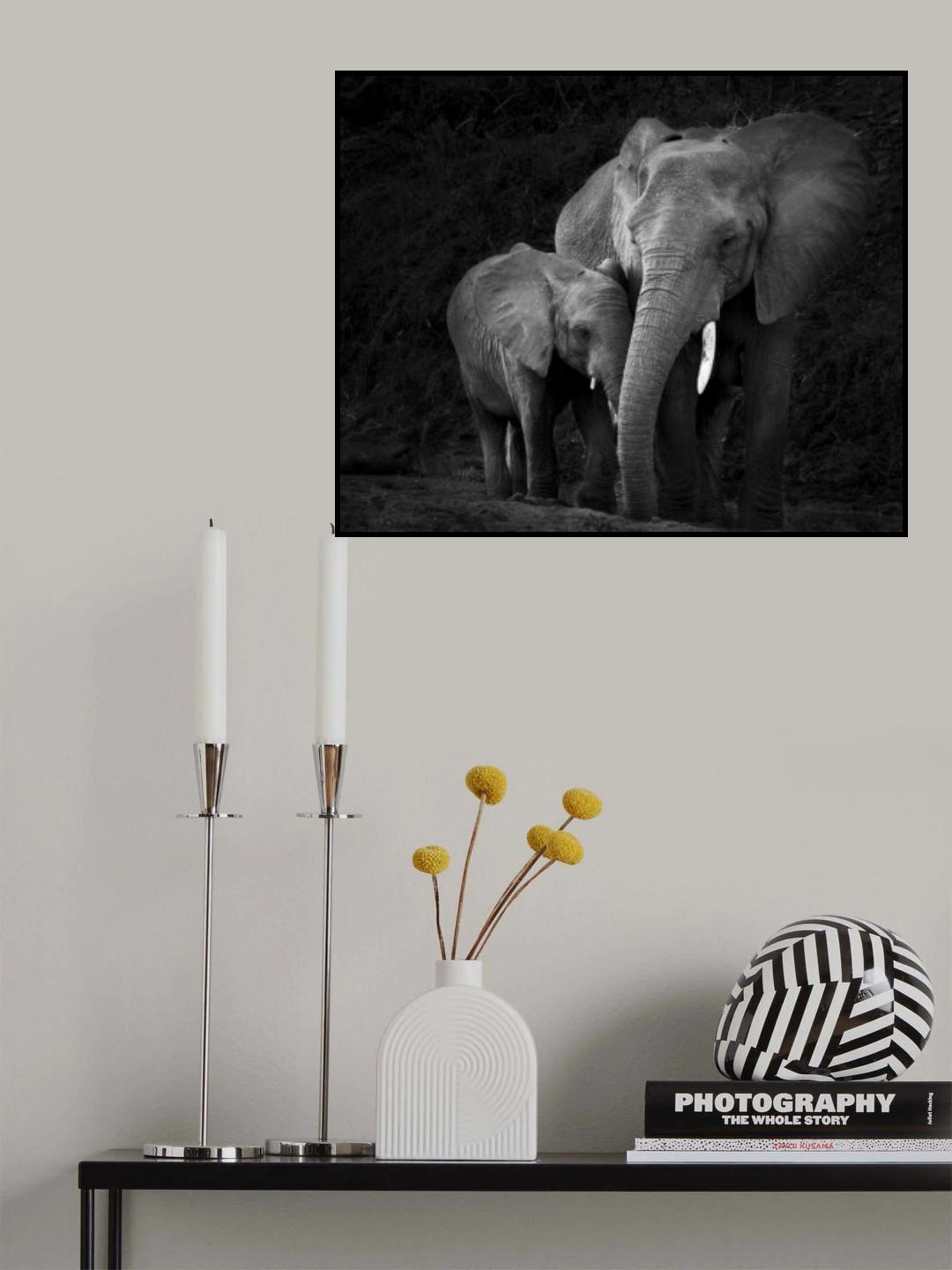 Mother Elephant with Calf Poster och Canvastavla