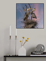 Happy Family Trio Poster och Canvastavla
