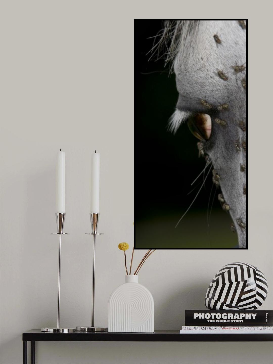 A  SORUFFULL  LOOK Poster och Canvastavla