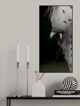 A  SORUFFULL  LOOK Poster och Canvastavla