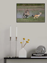 Warthog vs jackal Poster och Canvastavla