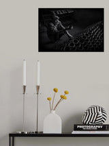 In the dark Poster och Canvastavla