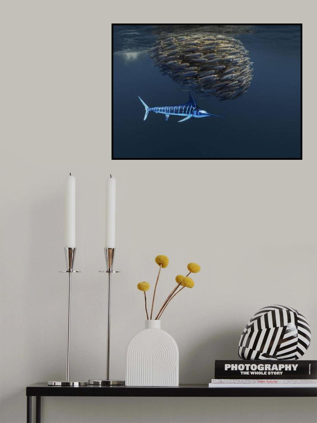 Ocean food chain show   (Follow Baitball) Poster och Canvastavla