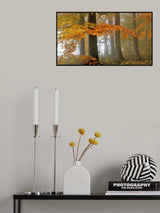 Autumn colors Poster och Canvastavla