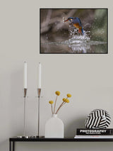 Catching Poster och Canvastavla