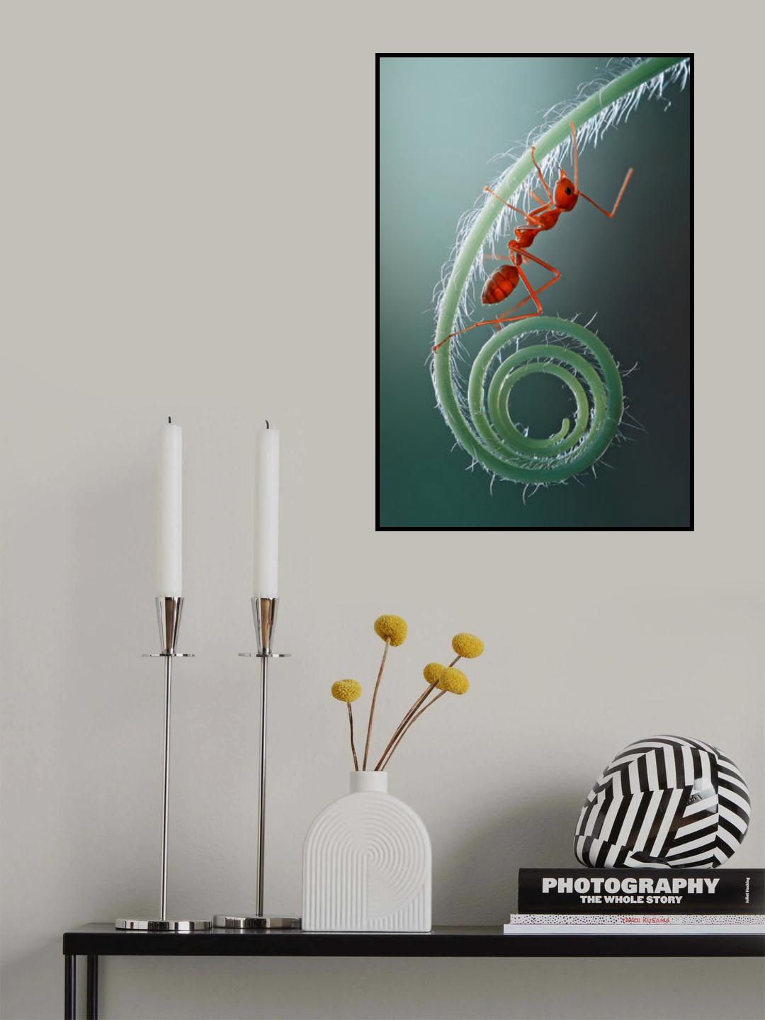 climb Poster och Canvastavla