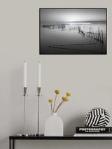 The netfish Poster och Canvastavla