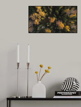 Yellow&amp;Green Poster och Canvastavla