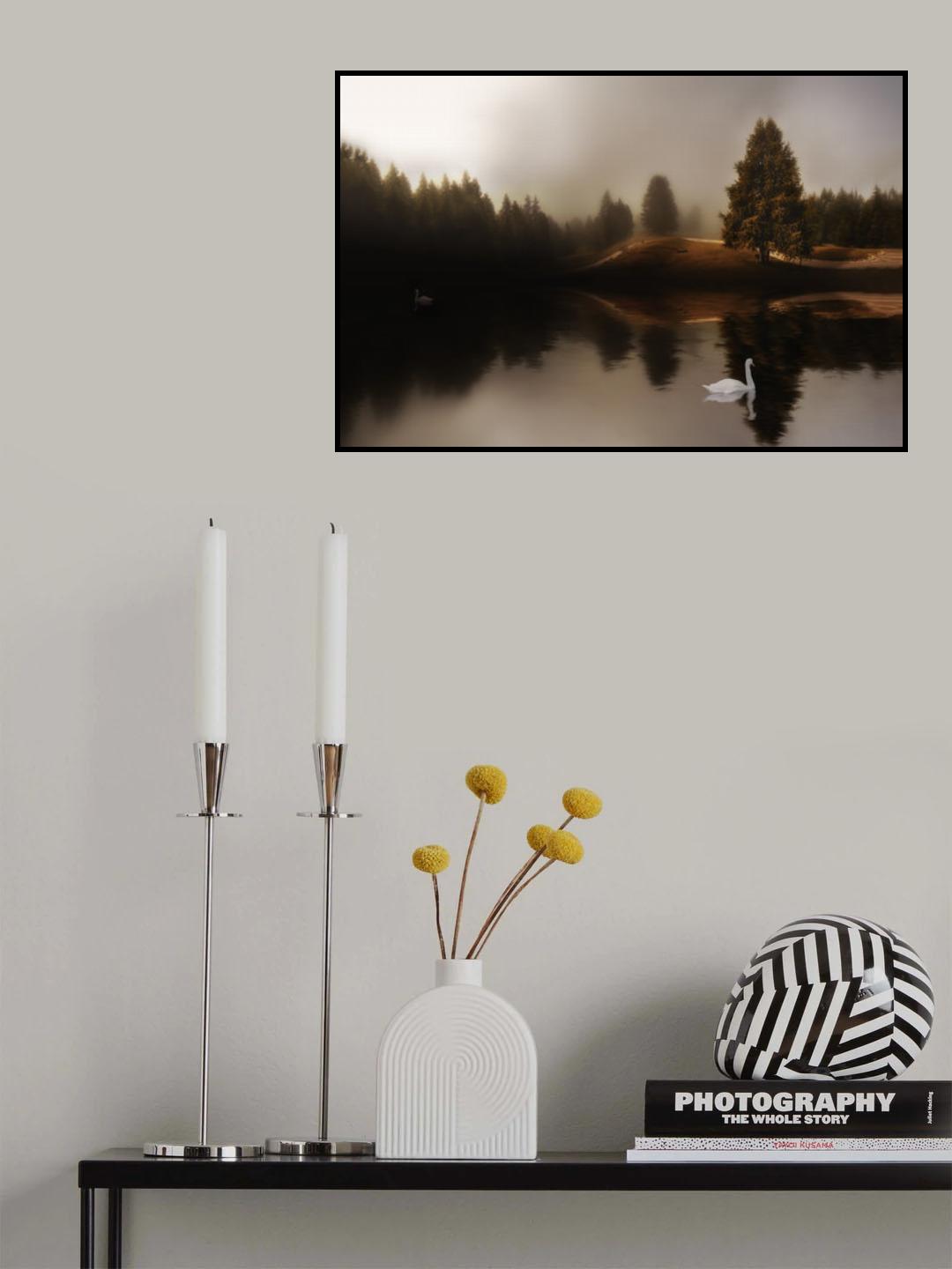 Swan Lake Poster och Canvastavla