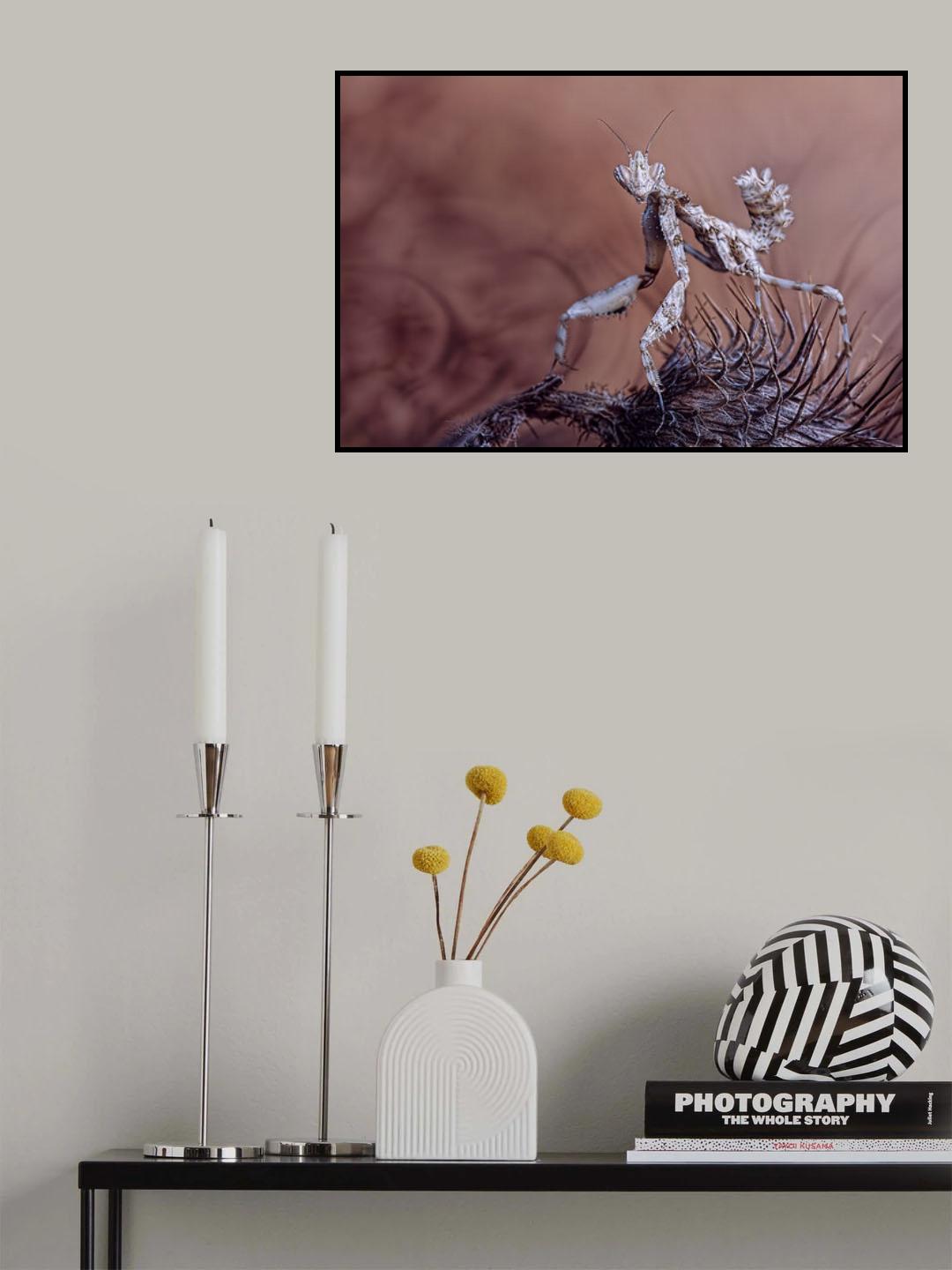 Thistle mantis Poster och Canvastavla