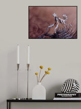Thistle mantis Poster och Canvastavla