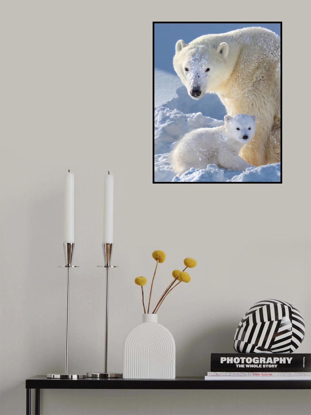 curious eyes Poster och Canvastavla