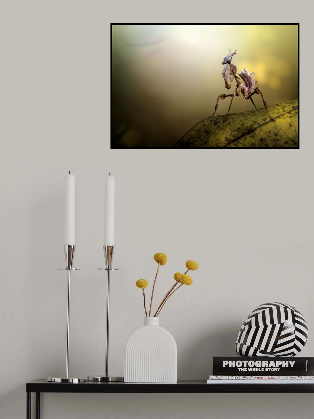Diabolica Poster och Canvastavla