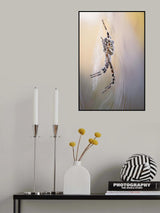 Wasp spider Poster och Canvastavla