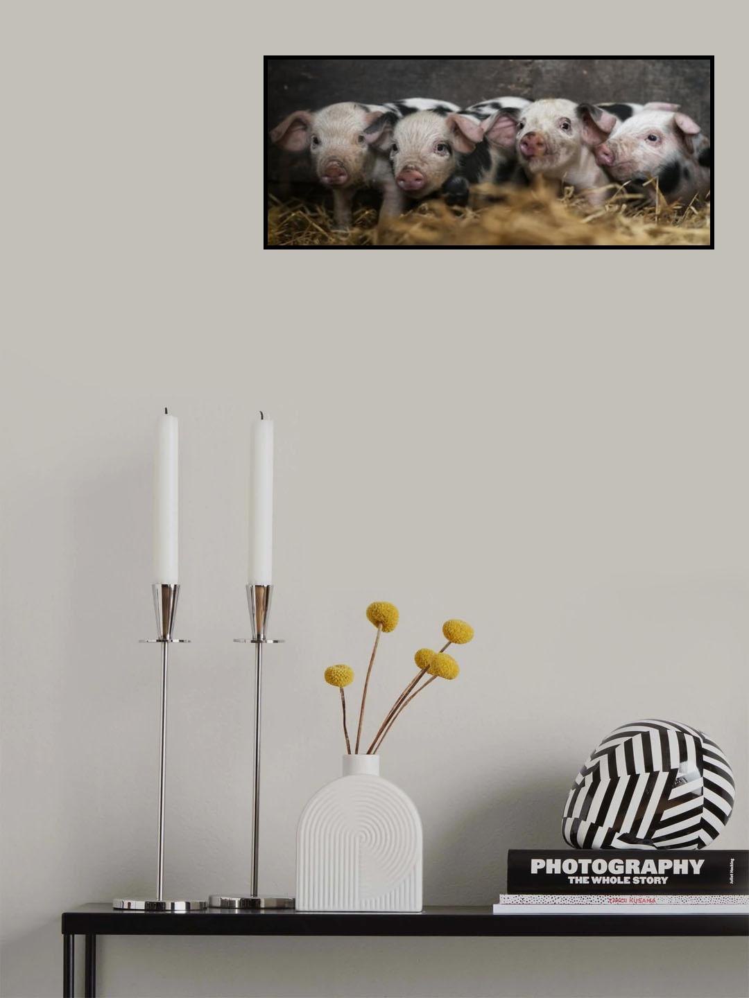 4 Poster och Canvastavla