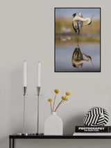 Balance in reflection Poster och Canvastavla