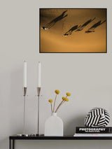 Friend camels Poster och Canvastavla