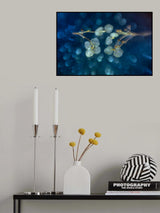 Art of nature Poster och Canvastavla