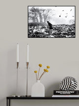 Life on garbage dump yard Poster och Canvastavla