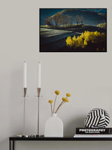 Morning Spring Poster och Canvastavla