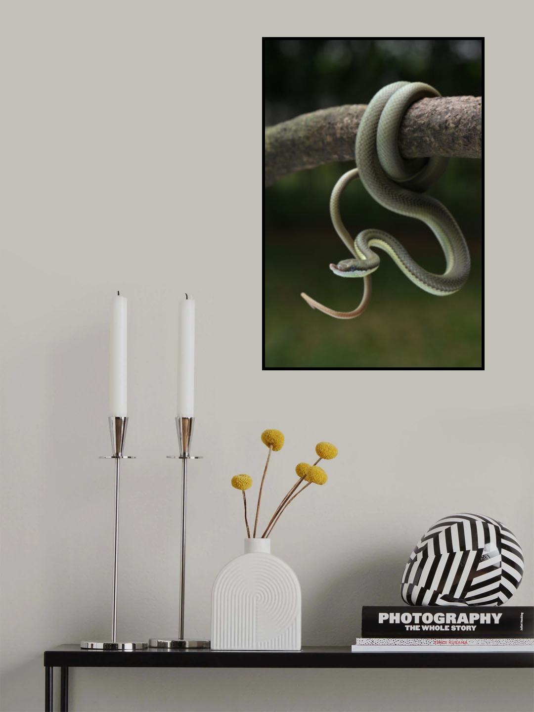 green snake Poster och Canvastavla