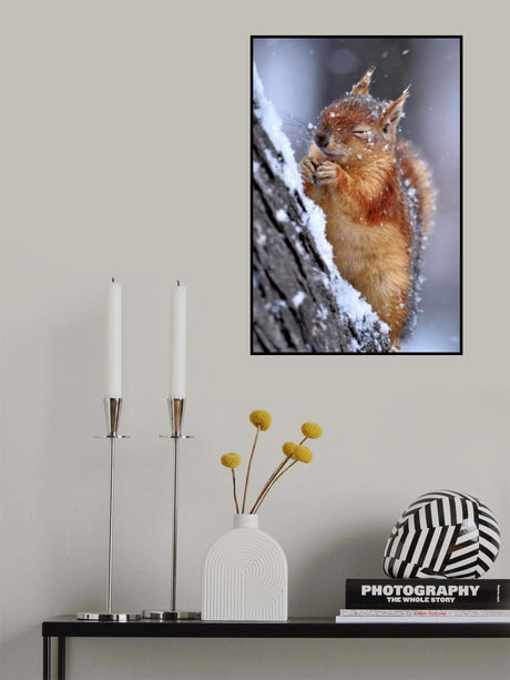 winter Poster och Canvastavla