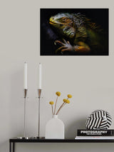 Time of molting Poster och Canvastavla