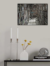 Reading Stuff Poster och Canvastavla