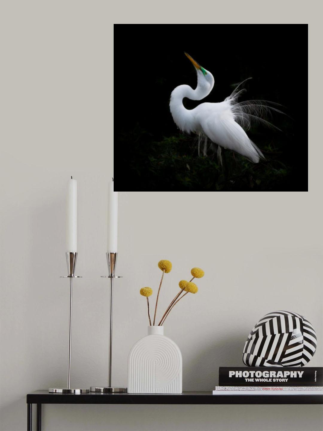 Poster och Canvastavla