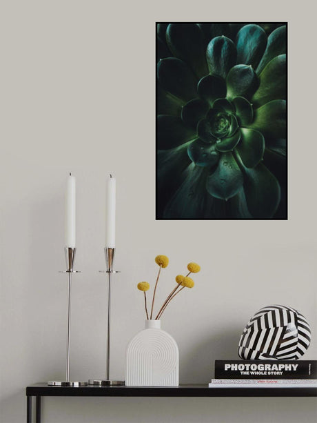 Succulent Poster och Canvastavla