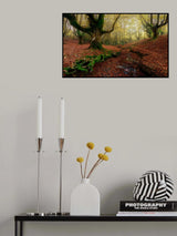 Autummn in  Otzarreta Poster och Canvastavla