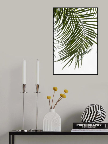 Palm Leaves Foliage Photo I Poster och Canvastavla