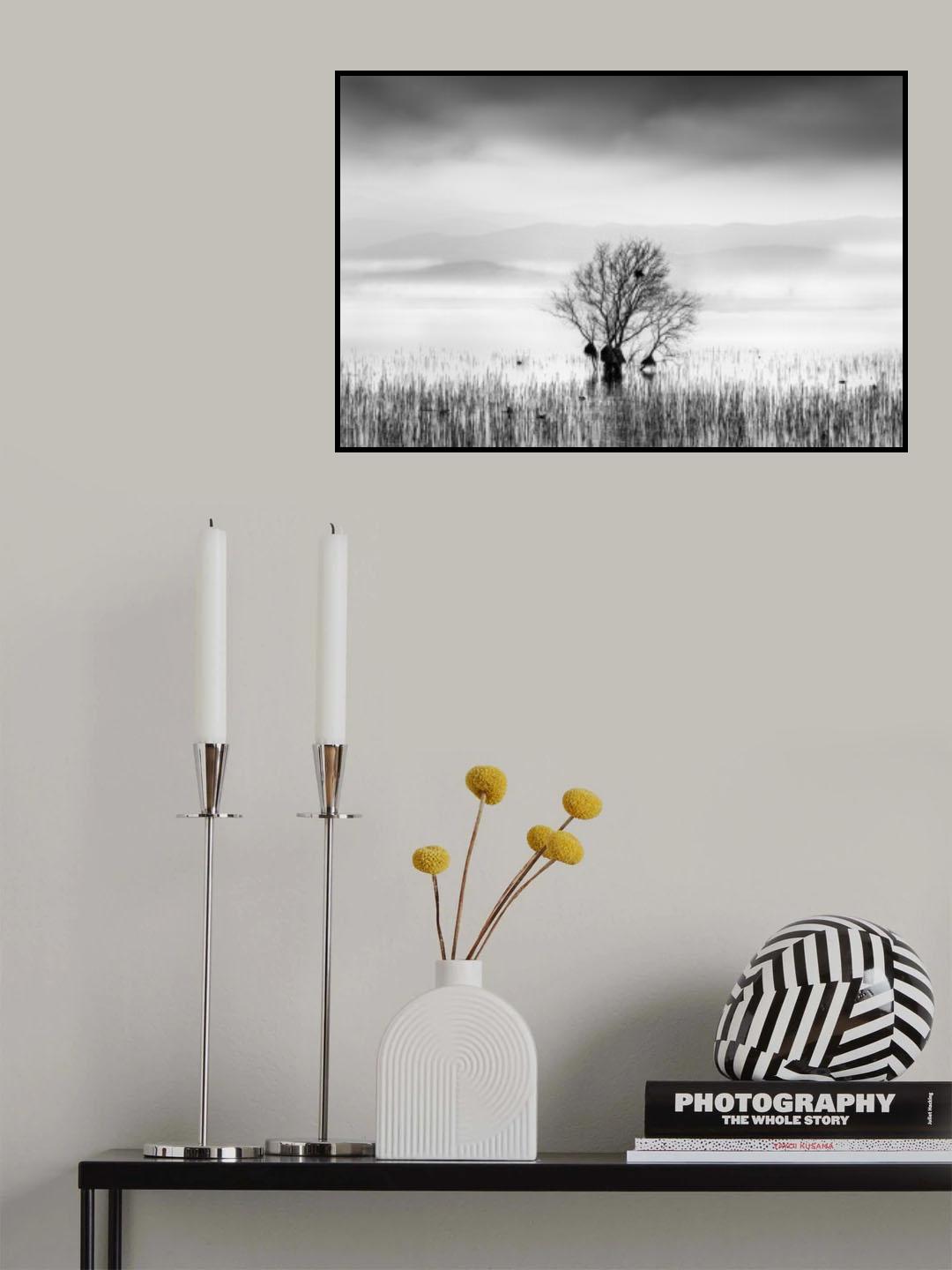 Morning Mist at Koroneia lake Poster och Canvastavla