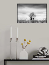 Morning Mist at Koroneia lake Poster och Canvastavla