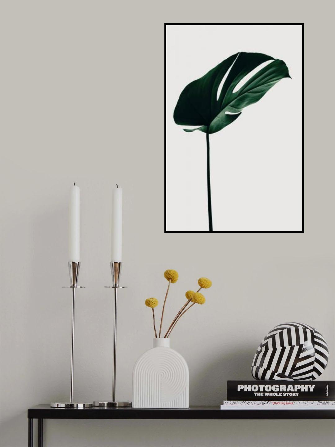 Monstera Natural 14 Poster och Canvastavla