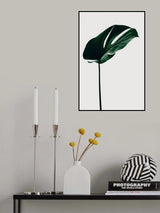 Monstera Natural 14 Poster och Canvastavla