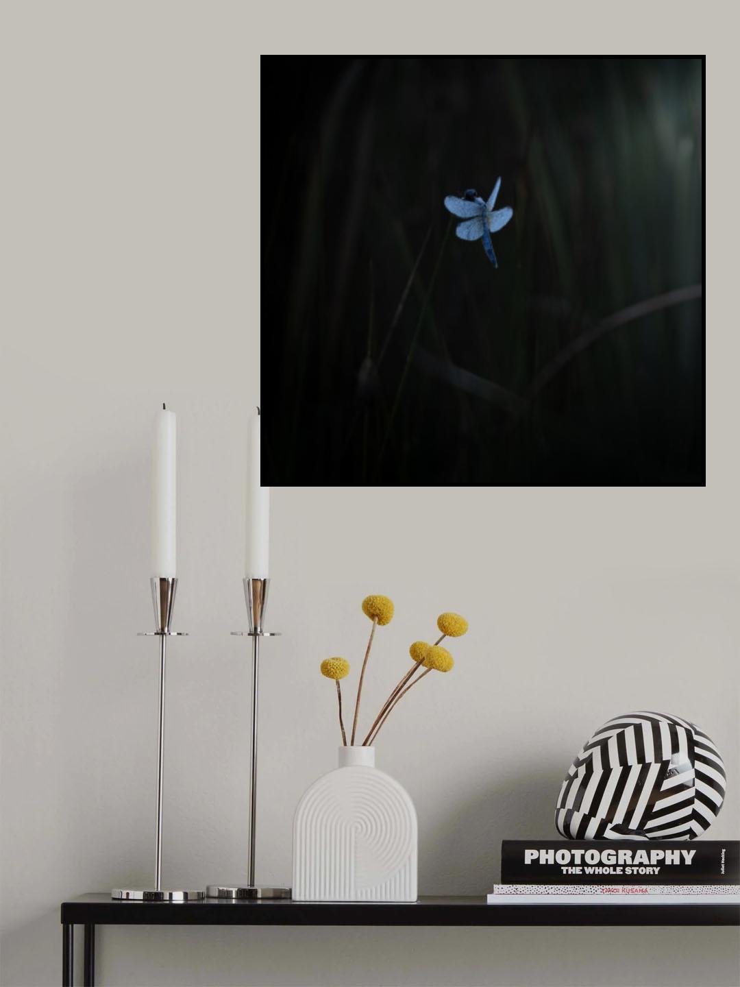 Morning dewⅡ Poster och Canvastavla