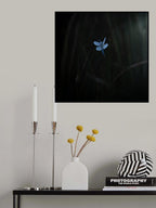 Morning dewⅡ Poster och Canvastavla